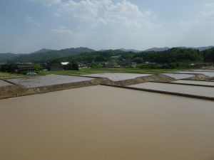 平成２８年度府営農業競争力強化基盤整備事業女布地区ほ場整備工事その２－２